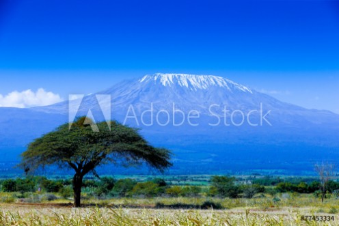 Picture of Kilimanjaro landscape